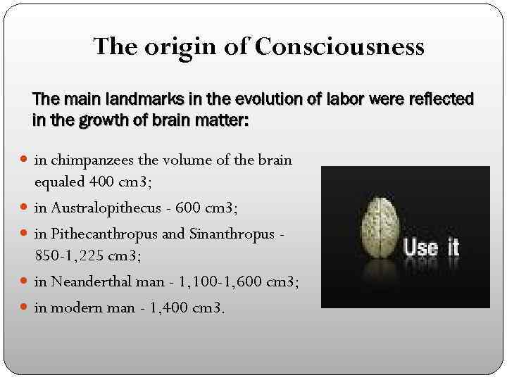 The origin of Consciousness The main landmarks in the evolution of labor were reflected