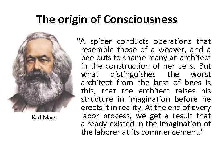 The origin of Consciousness Karl Marx 