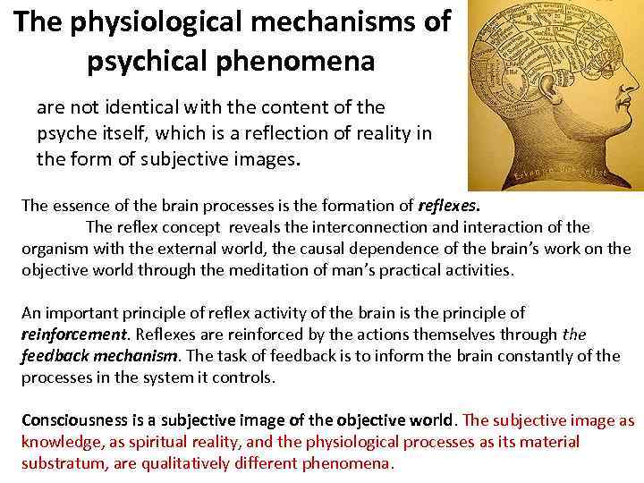 The physiological mechanisms of psychical phenomena are not identical with the content of the