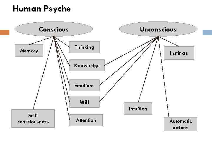 Human Psyche Conscious Memory Unconscious Thinking Instincts Knowledge Emotions Will Intuition Selfconsciousness Attention Automatic