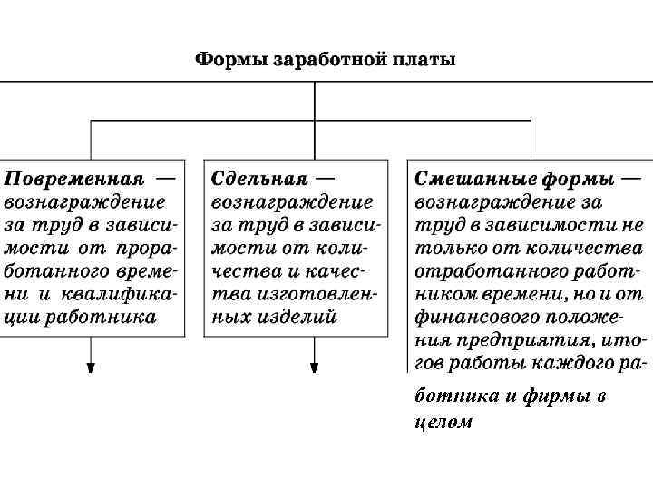 ботника и фирмы в целом 