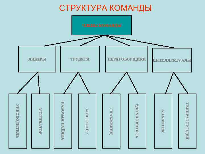 СТРУКТУРА КОМАНДЫ ЧЛЕНЫ КОМАНДЫ ИНТЕЛЛЕКТУАЛЫ ПЕРЕГОВОРЩИКИ ТРУДЯГИ ЛИДЕРЫ ГЕНЕРАТОР ИДЕЙ А Н А ЛИ