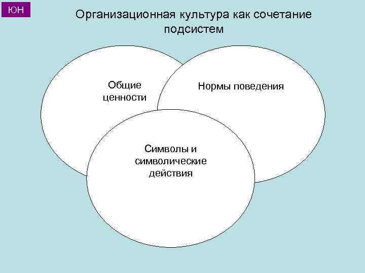 ЮН Организационная культура как сочетание подсистем Общие ценности Нормы поведения Символы и символические действия