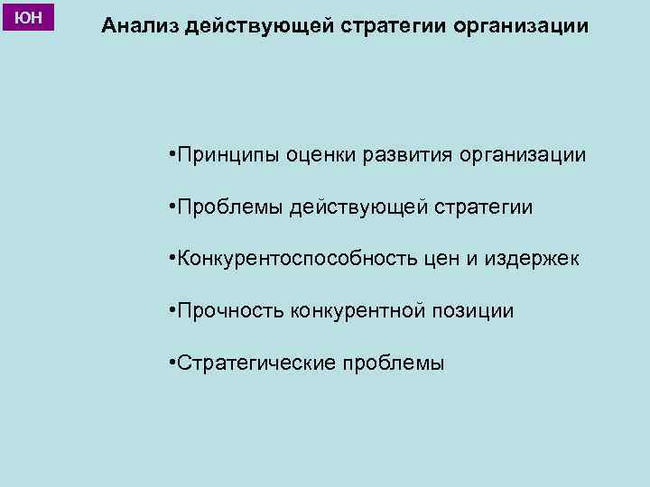 ЮН Анализ действующей стратегии организации • Принципы оценки развития организации • Проблемы действующей стратегии