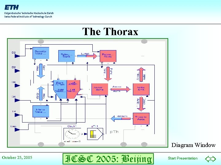 The Thorax Diagram Window October 25, 2005 ICSC 2005: Beijing Start Presentation 