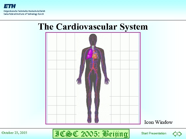 The Cardiovascular System Icon Window October 25, 2005 ICSC 2005: Beijing Start Presentation 