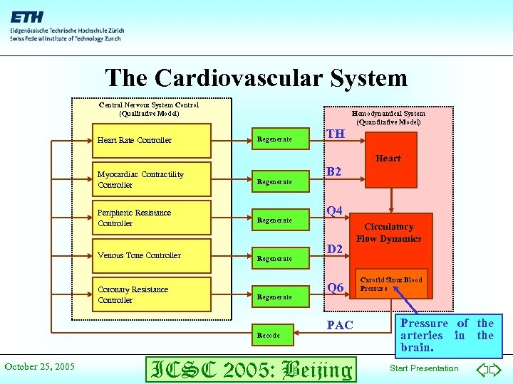 The Cardiovascular System Central Nervous System Control (Qualitative Model) Heart Rate Controller Hemodynamical System