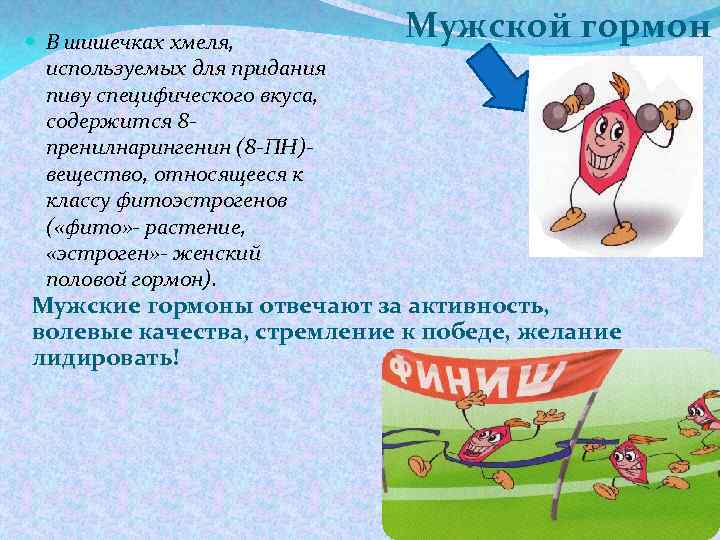  В шишечках хмеля, используемых для придания пиву специфического вкуса, содержится 8 пренилнарингенин (8