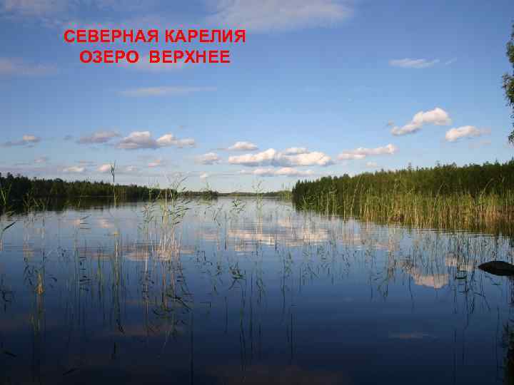 СЕВЕРНАЯ КАРЕЛИЯ ОЗЕРО ВЕРХНЕЕ 