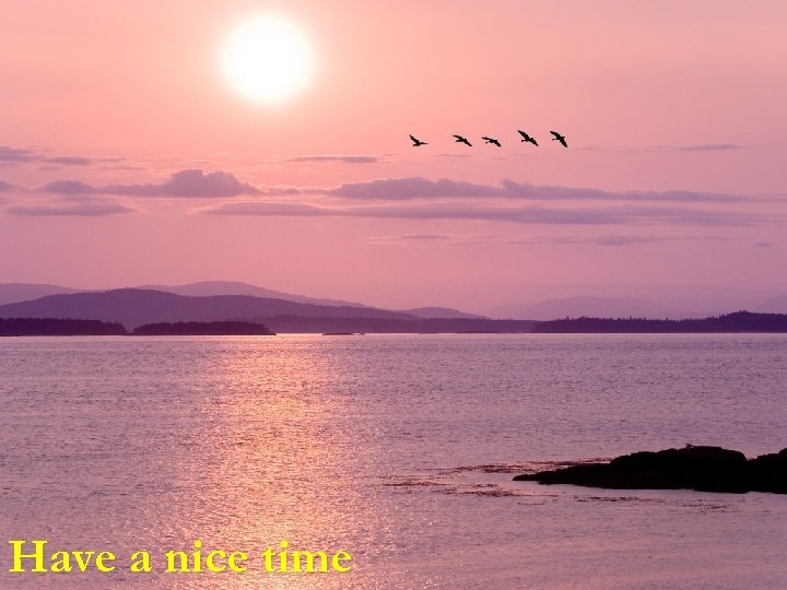 Have a nice time 