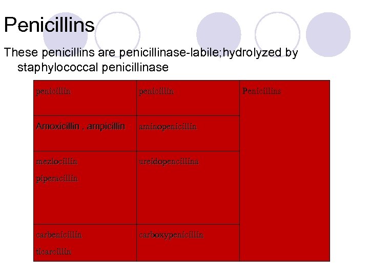 Penicillins These penicillins are penicillinase-labile; hydrolyzed by staphylococcal penicillinase penicillin Amoxicillin , ampicillin aminopenicillin