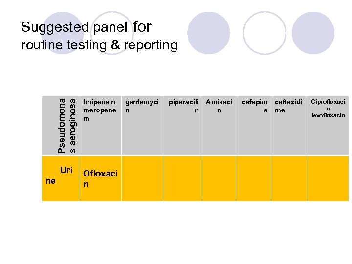 Pseudomona s aeroginosa Suggested panel for routine testing & reporting Uri ne Imipenem meropene