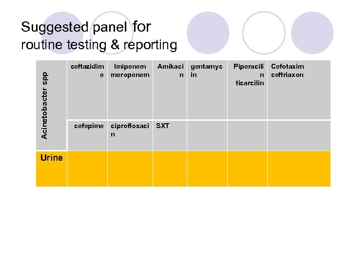 Acinetobacter spp Suggested panel for routine testing & reporting Urine ceftazidim Imipenem e meropenem