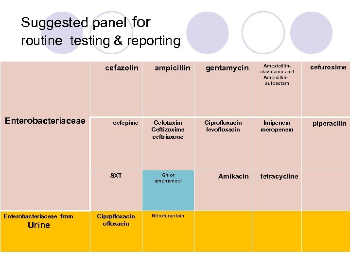 Suggested panel for routine testing & reporting cefazolin Enterobacteriaceae cefepime ampicillin Cefotaxim Ceftizoxime ceftriaxone