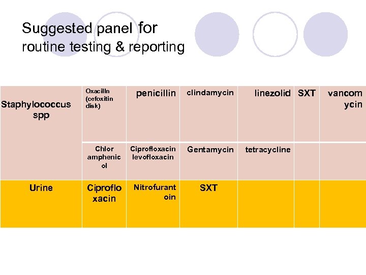 Suggested panel for routine testing & reporting Oxacilln (cefoxitin disk) Urine clindamycin Chlor amphenic