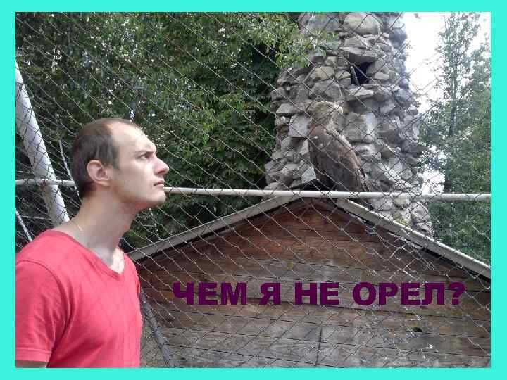 ЧЕМ Я НЕ ОРЕЛ? 