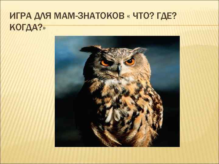 ИГРА ДЛЯ МАМ-ЗНАТОКОВ « ЧТО? ГДЕ? КОГДА? » 