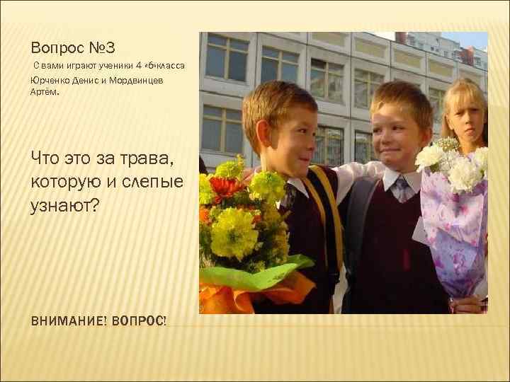 Вопрос № 3 С вами играют ученики 4 «б» класса Юрченко Денис и Мордвинцев