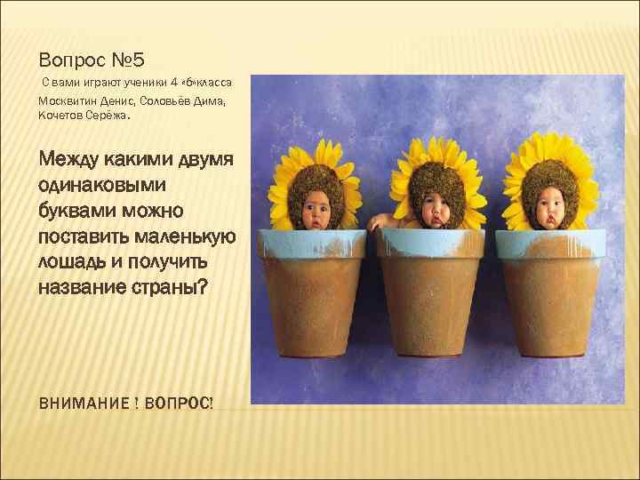 Вопрос № 5 С вами играют ученики 4 «б» класса Москвитин Денис, Соловьёв Дима,