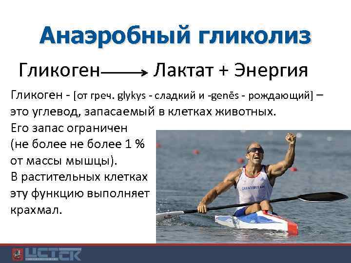 Анаэробный гликолиз Гликоген Лактат + Энергия Гликоген - [от греч. glykys - сладкий и