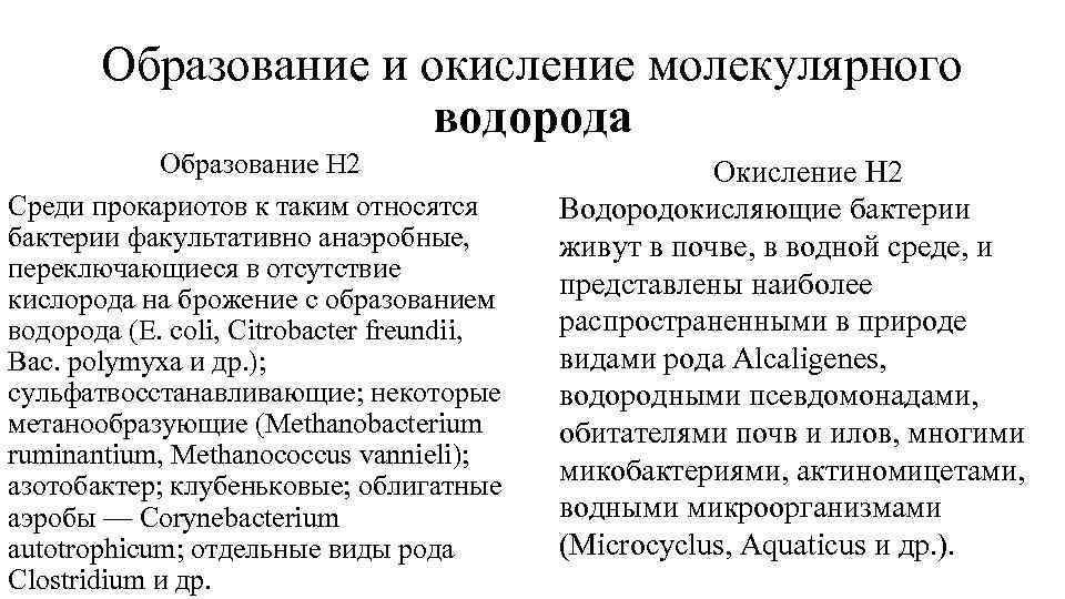 Образование и окисление молекулярного водорода Образование Н 2 Среди прокариотов к таким относятся бактерии