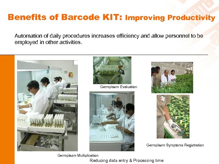 Benefits of Barcode KIT: Improving Productivity Automation of daily procedures increases efficiency and allow