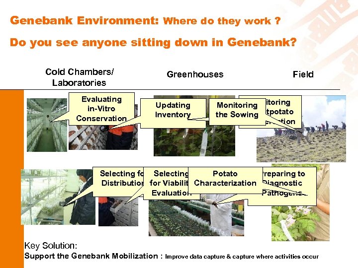 Genebank Environment: Where do they work ? Do you see anyone sitting down in