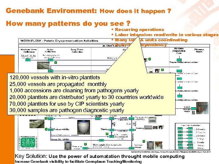 Genebank Environment: How does it happen ? How many patterns do you see ?