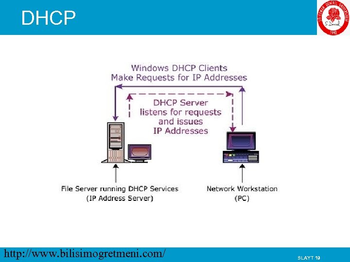 DHCP http: //www. bilisimogretmeni. com/ SLAYT 19 