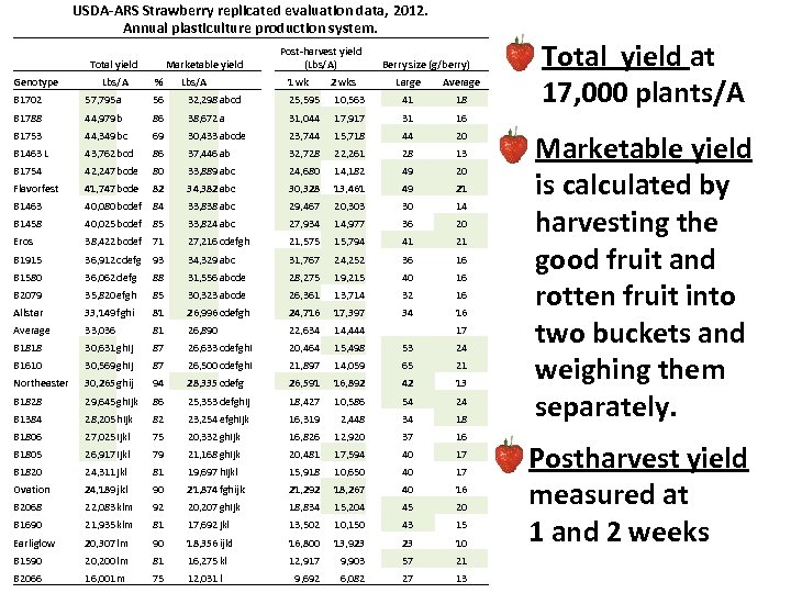 Kim Lewers USDAAgricultural Research Service Beltsville Maryland