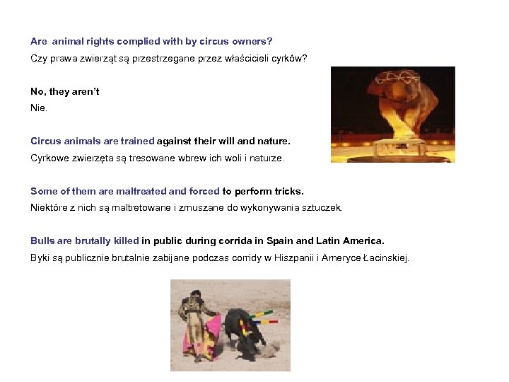 Are animal rights complied with by circus owners? Czy prawa zwierząt są przestrzegane przez