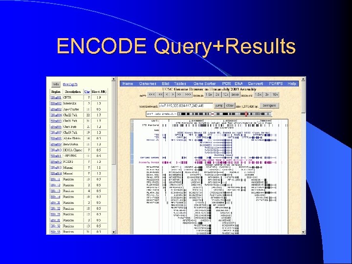 ENCODE Query+Results 