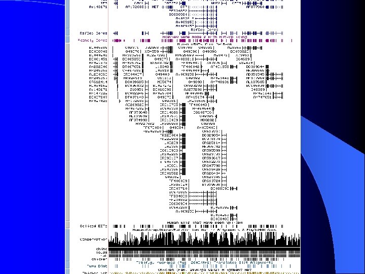 ENCODE Details hg 16 