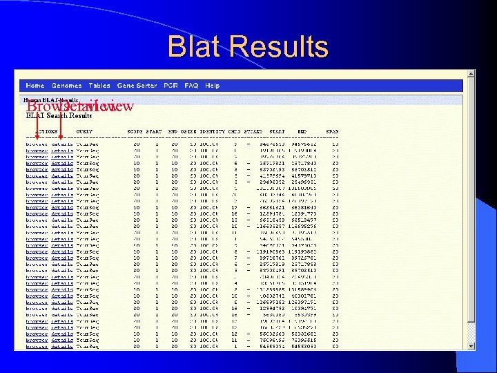 Blat Results Browser view Detail view 