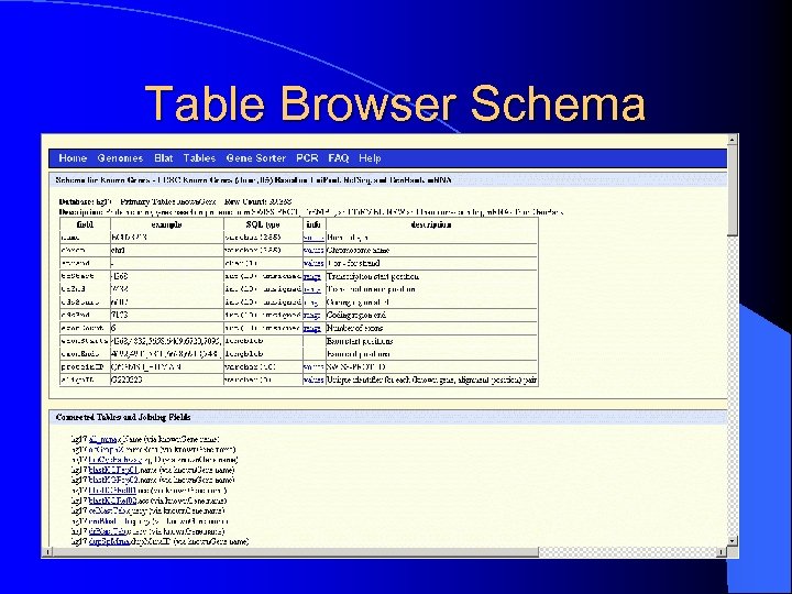 Table Browser Schema 