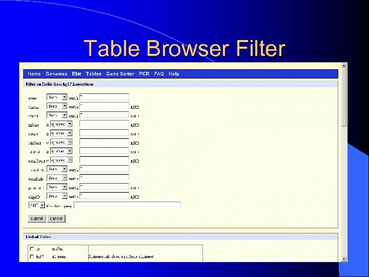 Table Browser Filter 