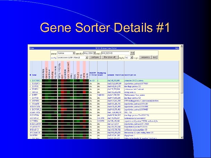 Gene Sorter Details #1 