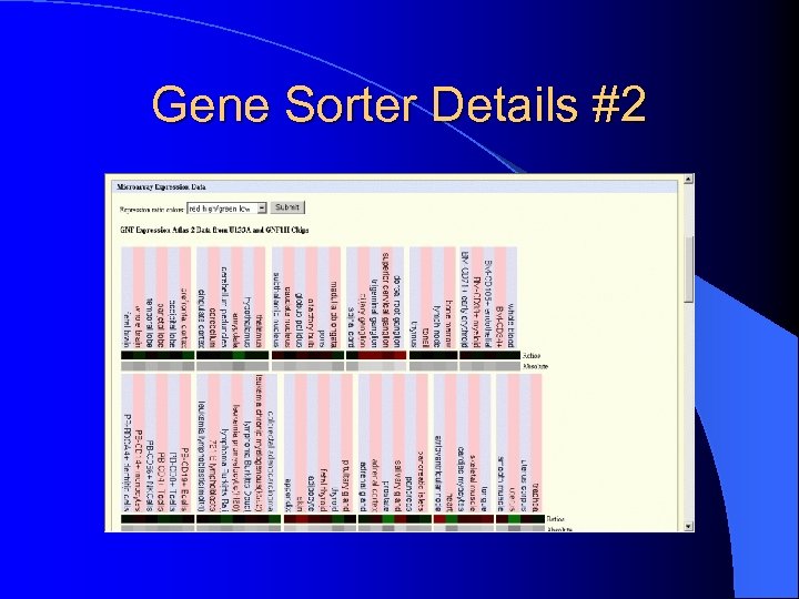 Gene Sorter Details #2 