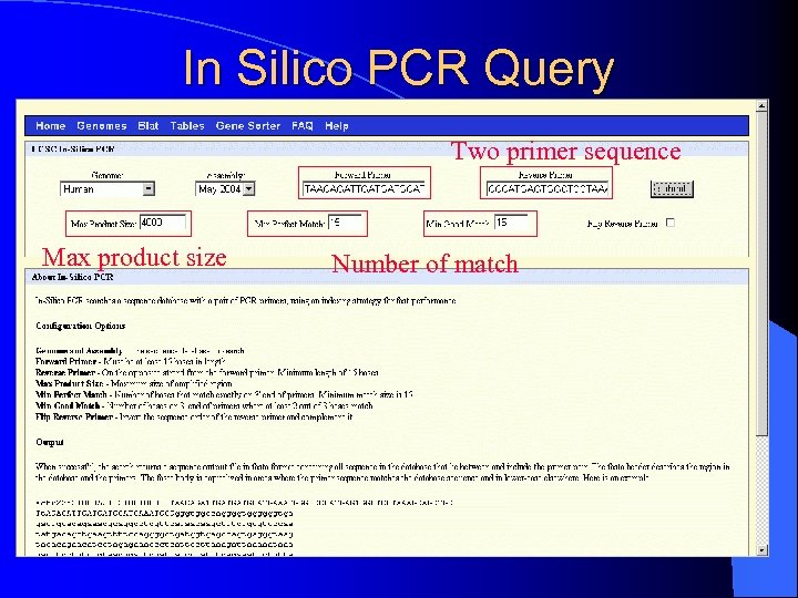 In Silico PCR Query Two primer sequence Max product size Number of match 