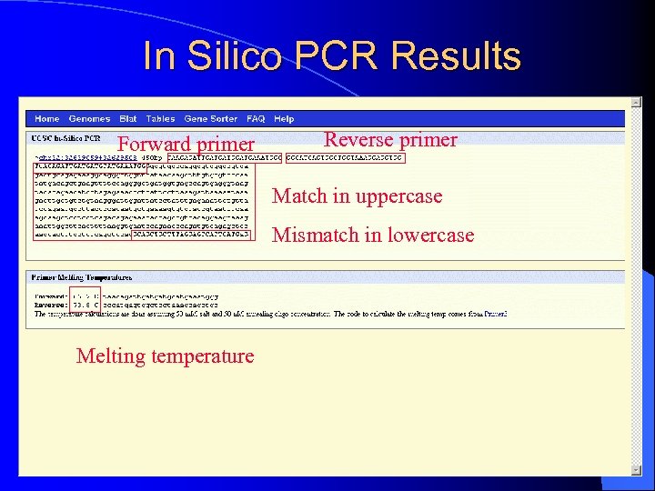 In Silico PCR Results Forward primer Reverse primer Match in uppercase Mismatch in lowercase