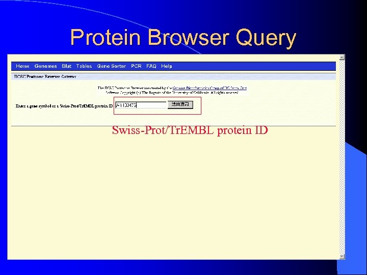 Protein Browser Query Swiss-Prot/Tr. EMBL protein ID 