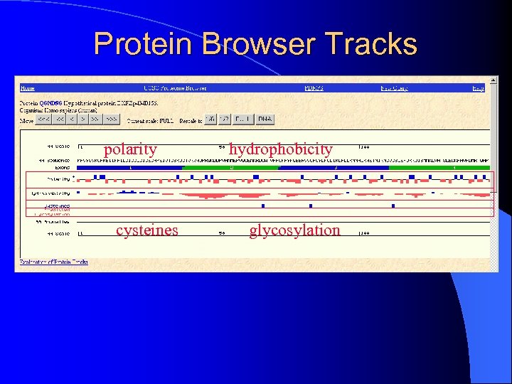 Protein Browser Tracks polarity cysteines hydrophobicity glycosylation 