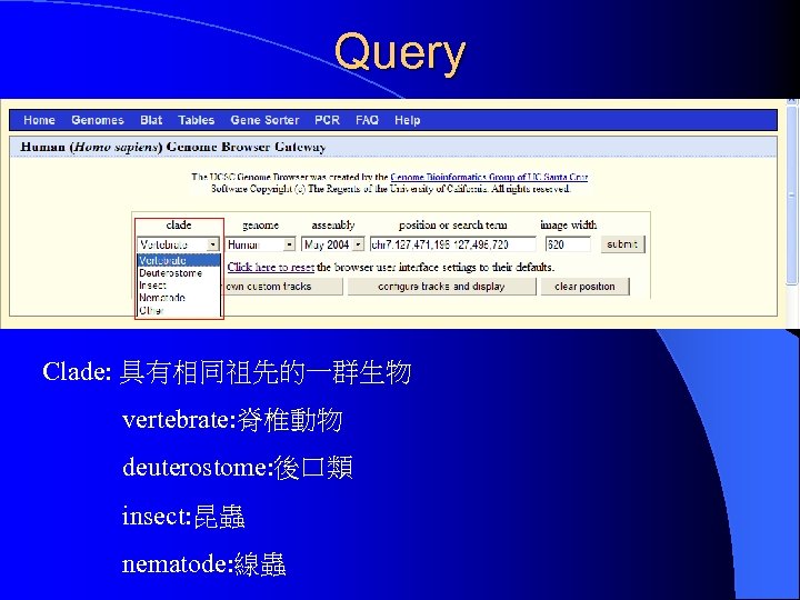 Query Clade: 具有相同祖先的一群生物 vertebrate: 脊椎動物 deuterostome: 後口類 insect: 昆蟲 nematode: 線蟲 