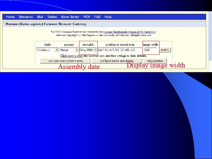 Assembly date Display image width 