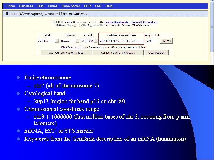 l l l Entire chromosome – chr 7 (all of chromosome 7) Cytological band