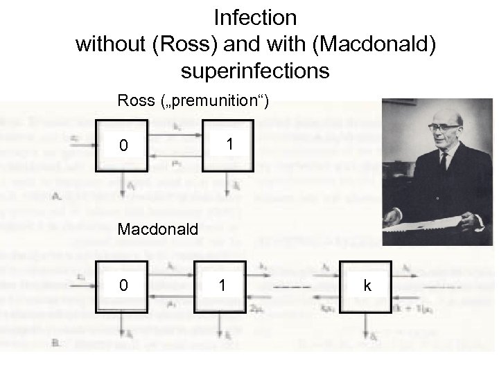 Infection without (Ross) and with (Macdonald) superinfections Ross („premunition“) 0 1 Macdonald 0 1