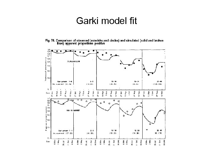 Garki model fit 