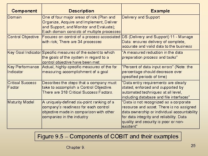 Component Description Example Domain One of four major areas of risk (Plan and Delivery