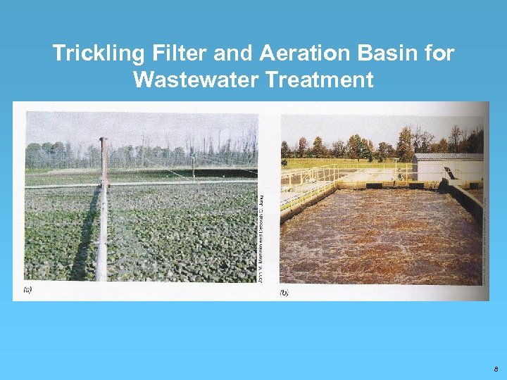 Trickling Filter and Aeration Basin for Wastewater Treatment 8 