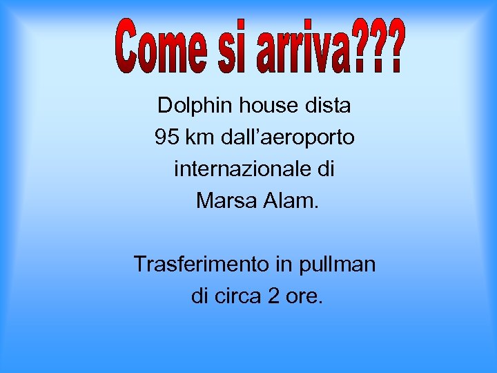 Dolphin house dista 95 km dall’aeroporto internazionale di Marsa Alam. Trasferimento in pullman di